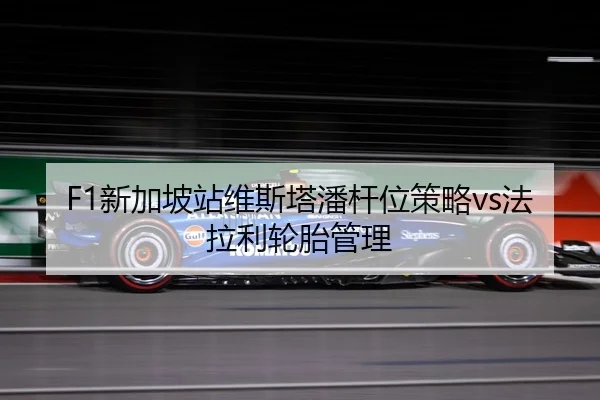 xin-jia-po-zhan-wei-si-ta-pan-gan-wei-ce-lve-fa-la-li-lun-tai-guan-li-2-993.jpg